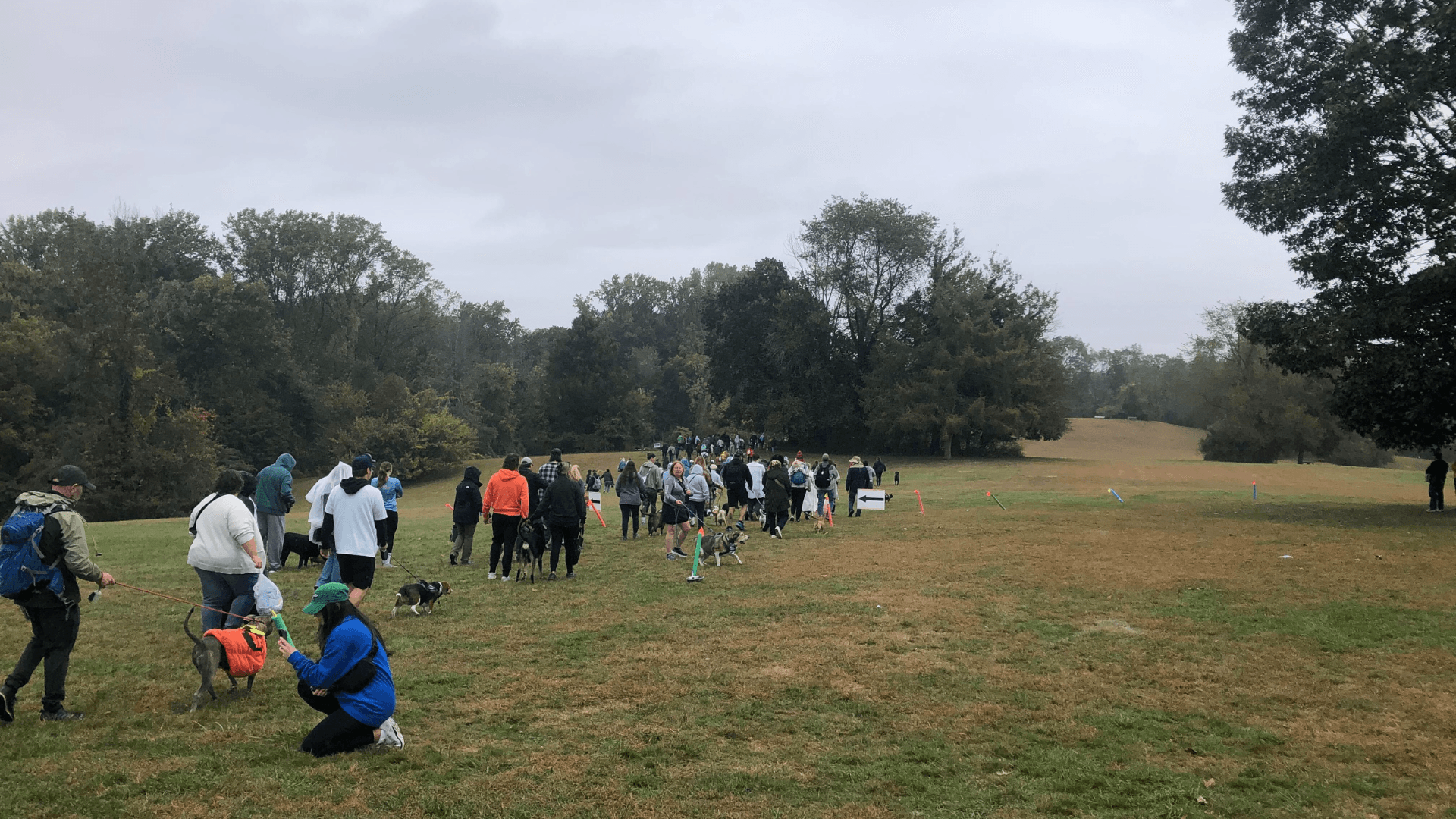 Trail Races: How to Plan, Promote, and Time a 5K Off the Road